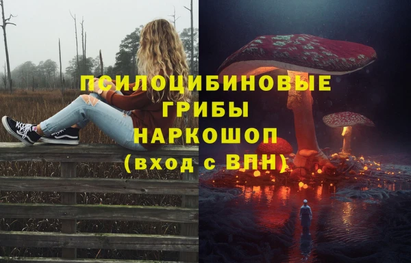 ешки Волосово