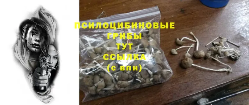 Псилоцибиновые грибы MAGIC MUSHROOMS  цена   Дубна 